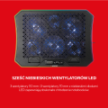 ec3bb29024386135||6_