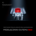 efe00d3497947074||7_