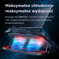 782b995043945834||11_