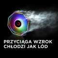 c6110a2768507681||11_