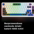 b84e835870789094||11_